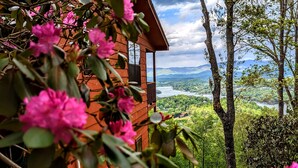 Une cabane en bois avec vue sur un lac et des montagnes.