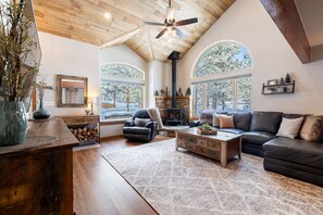 Smart TV, fireplace, books