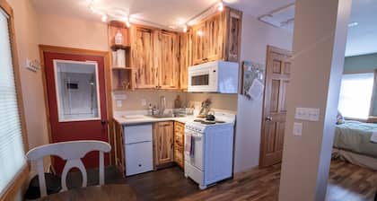 Newly remodeled, private, sunny downtown apartment; near restaurants & shopping.