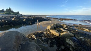 Eine felsige Küstenlinie mit klarem Wasser, einem Sandstrand und einem fernen Wald.