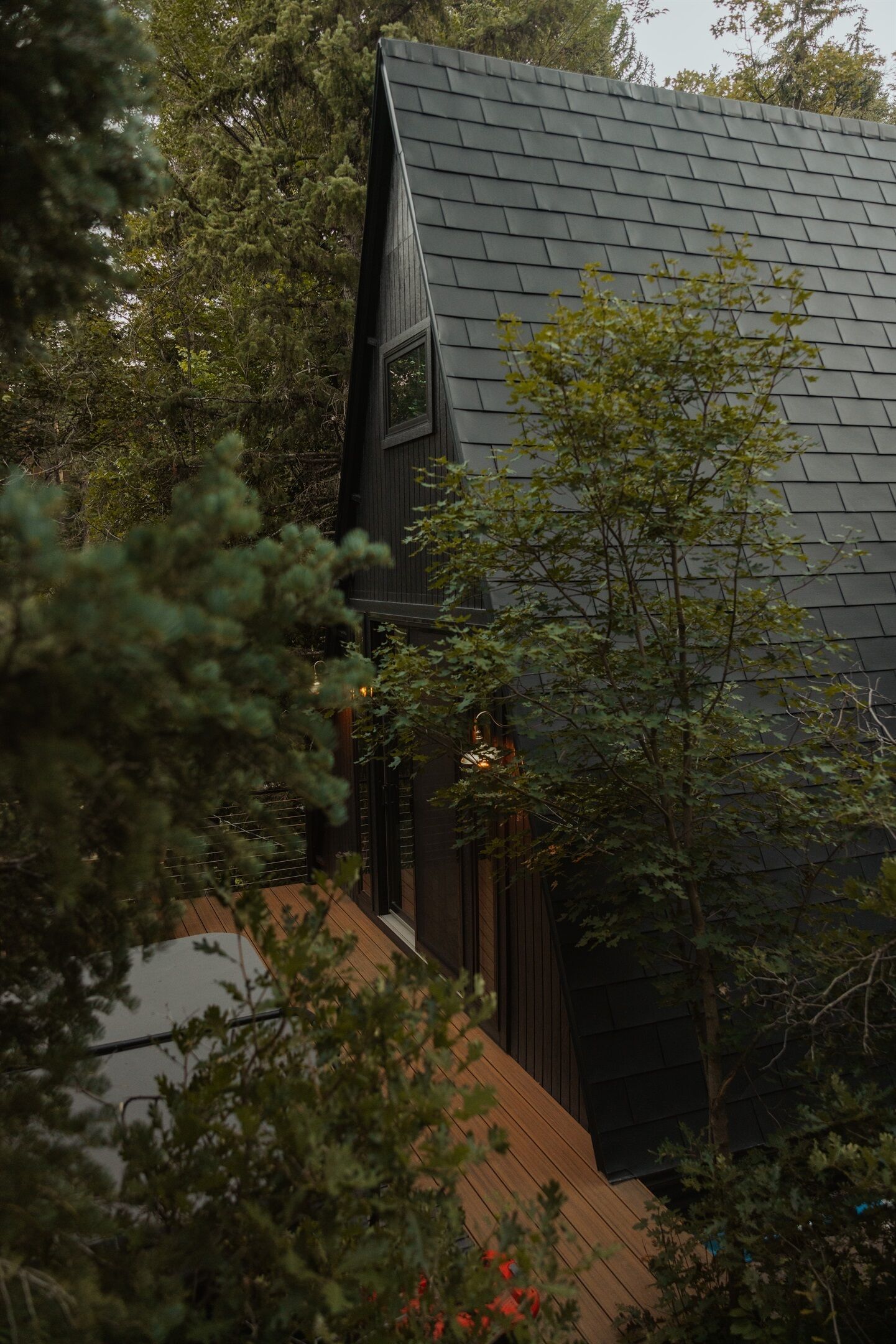 A modern building with a sloped roof, surrounded by dense trees.