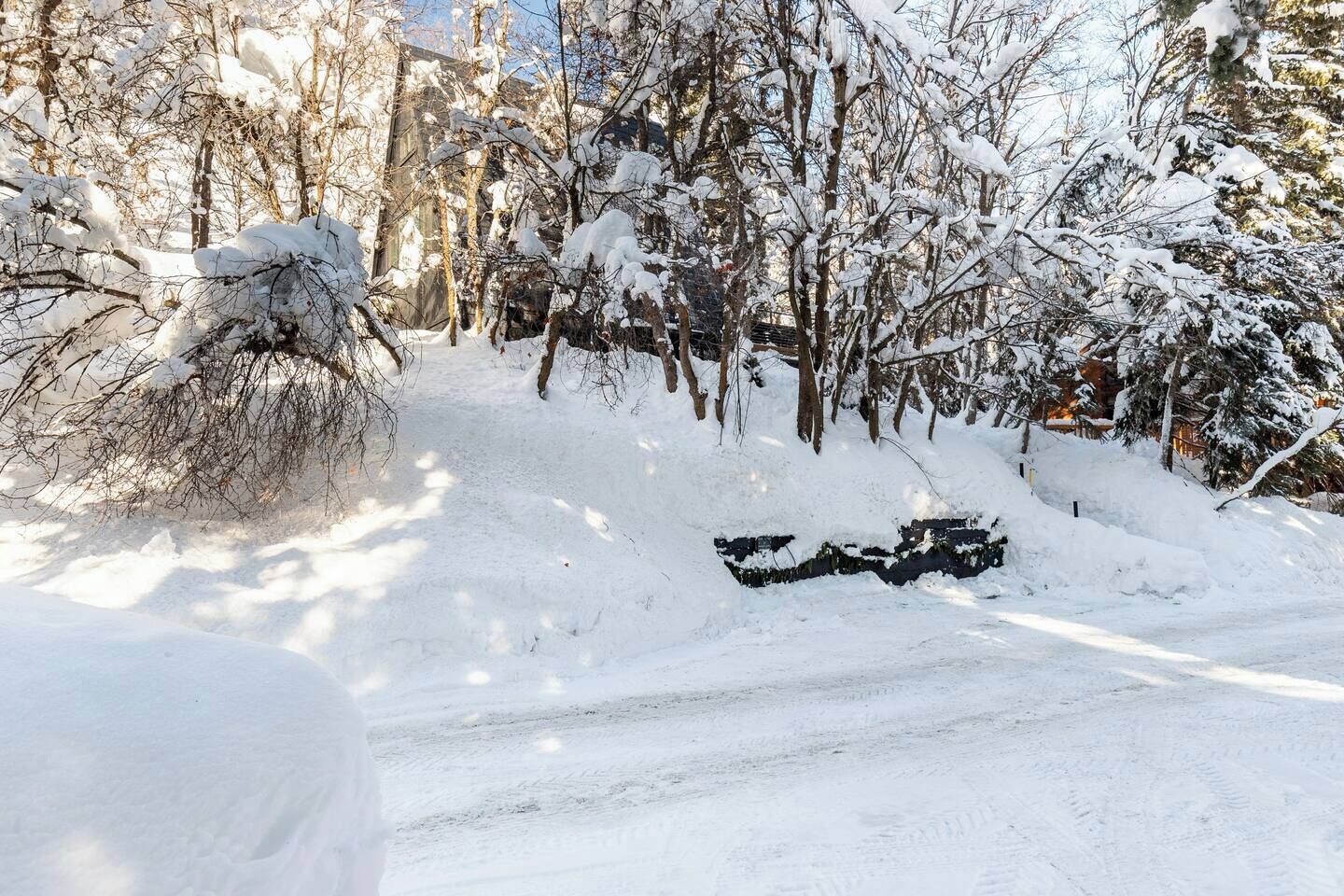 Un sentier enneigé dans une zone boisée, avec des arbres sans feuilles et une structure en pierre.