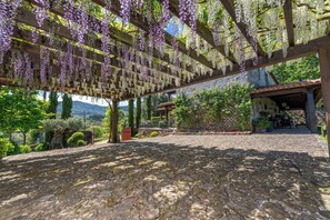 Àrea exterior de l'allotjament