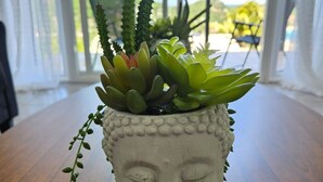 Ein Topfpflanze mit Buddha-Kopf-Motiv auf einem Holztisch.