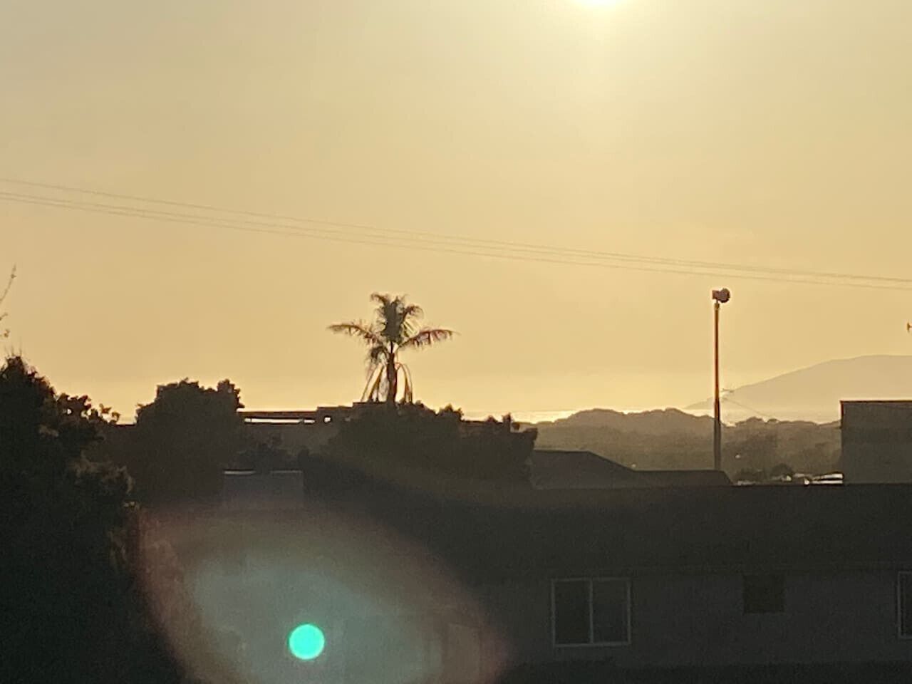A building with a palm tree in front, a clear sky, and a distant mountain.