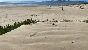 A sandy beach with dunes and sparse vegetation. - Modern Rooftop Zen with Ocean and Mountain Views (Grover Beach)