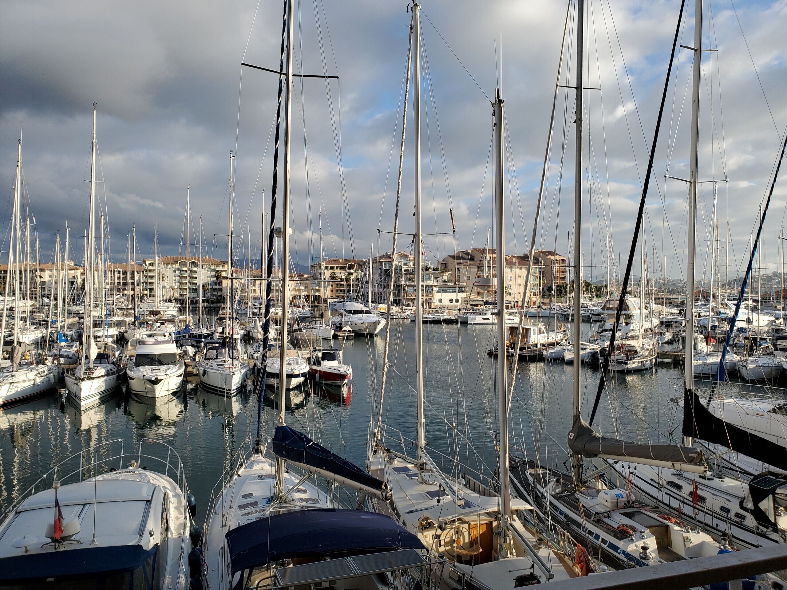 En lysthavn med mange sejlbåde i havnen, omgivet af bygninger.
