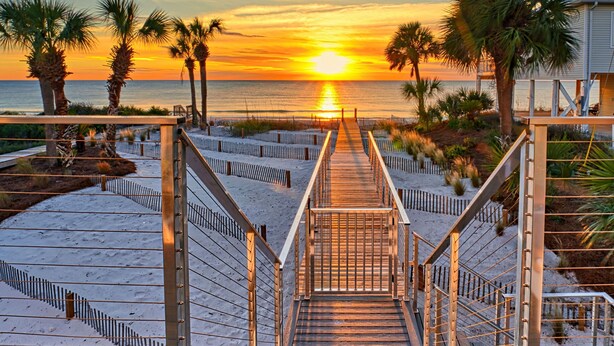 Un escalier en bois menant à une plage bordée de palmiers, avec un coucher de soleil en arrière-plan.