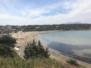 Ein Küstenstrand mit freiem Blick auf das Meer, ein sandiger Uferstreifen und einige Grünflächen.