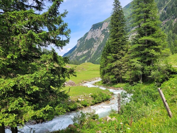 A river flowing through a mountainous landscape with dense forests and rocky cliffs.