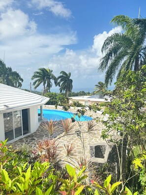 A pool area with a stone patio, surrounded by tropical vegetation and palm trees.