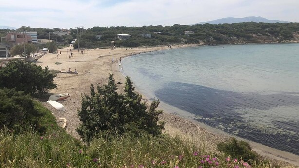 A coastal beach with clear waters, a sandy shore, and greenery.