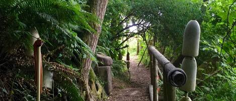 المنطقة المحيطة بالمنشأة