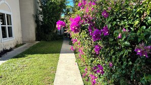 A residential street with a sidewalk, a house on the left, and a bush with purple flowers on the right.