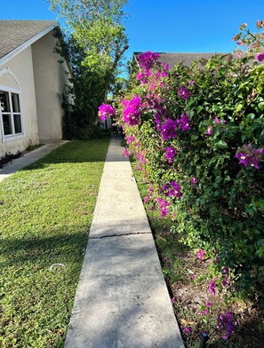 Stroll along the quiet residential street lined with a lush bush and vibrant flowers.