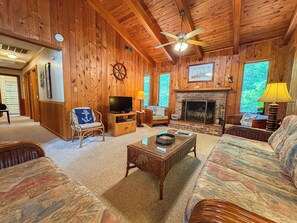 Televisión, chimenea, reproductor de DVD y estéreo 