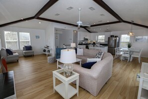 TV, fireplace, books