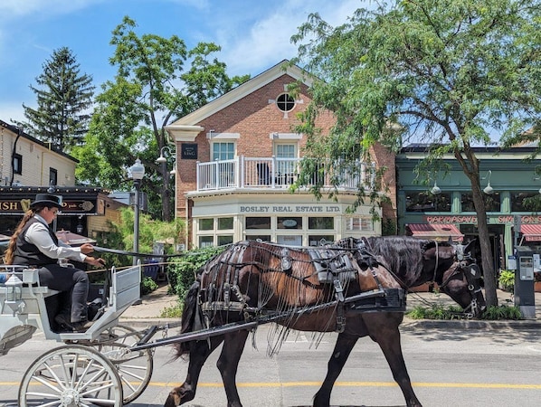 A horse-drawn carriage on a street with buildings in the background. - Suites On King (Niagara-on-the-Lake)