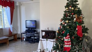 Olohuone, jossa on joulukuusi, televisio, penkki ja kuvioitu matto.