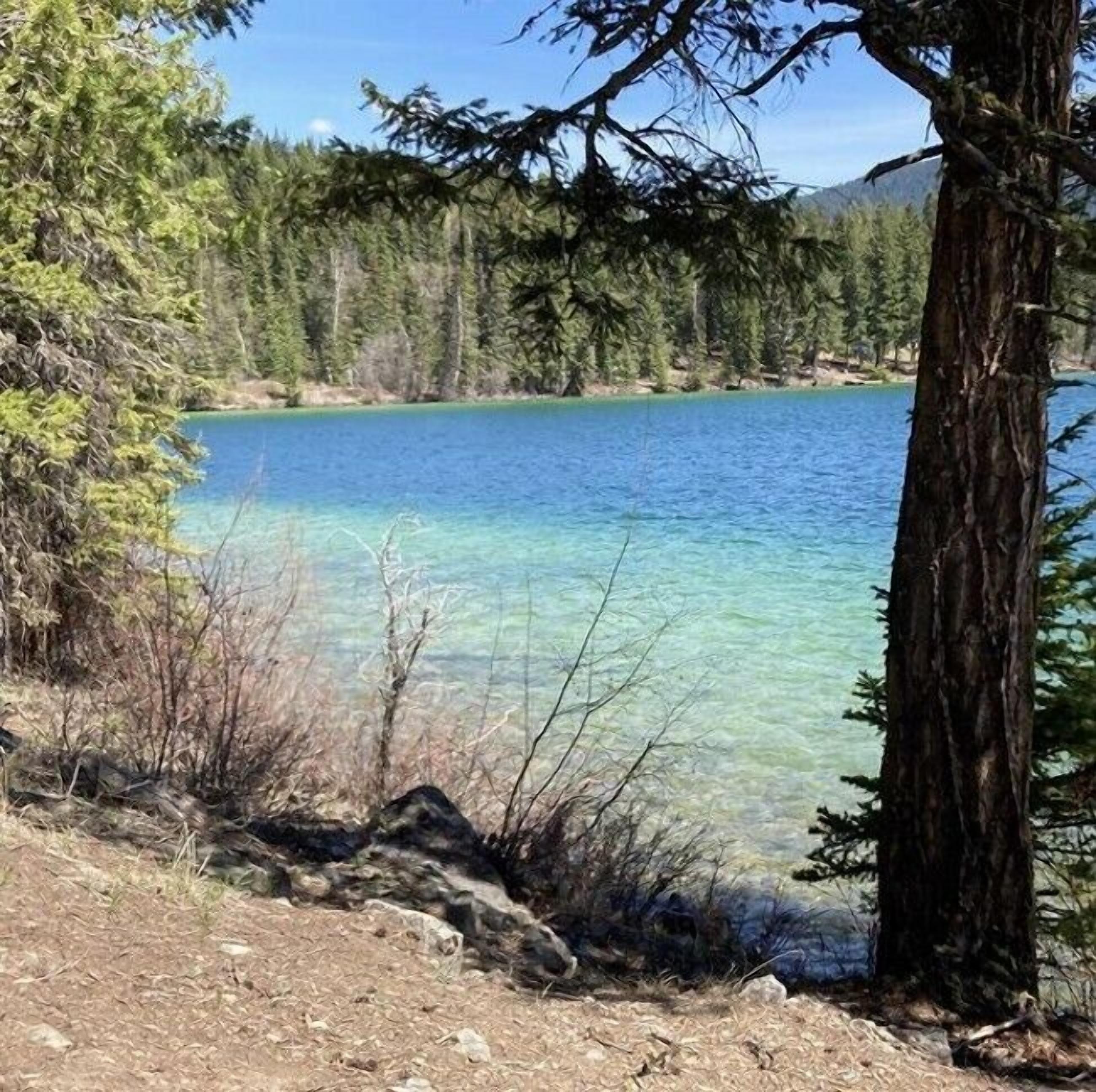 A clear view of a lake surrounded by trees.