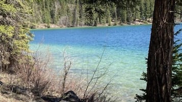 A clear view of a lake surrounded by trees.