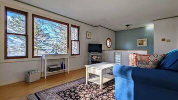 Fernseher, Kamin, Bücher, Arbeitsbereiche