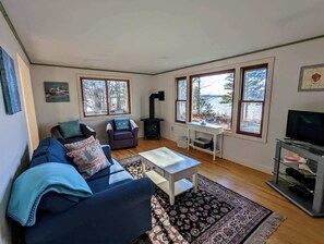 TV, fireplace, books, offices