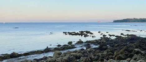 Tæt på stranden