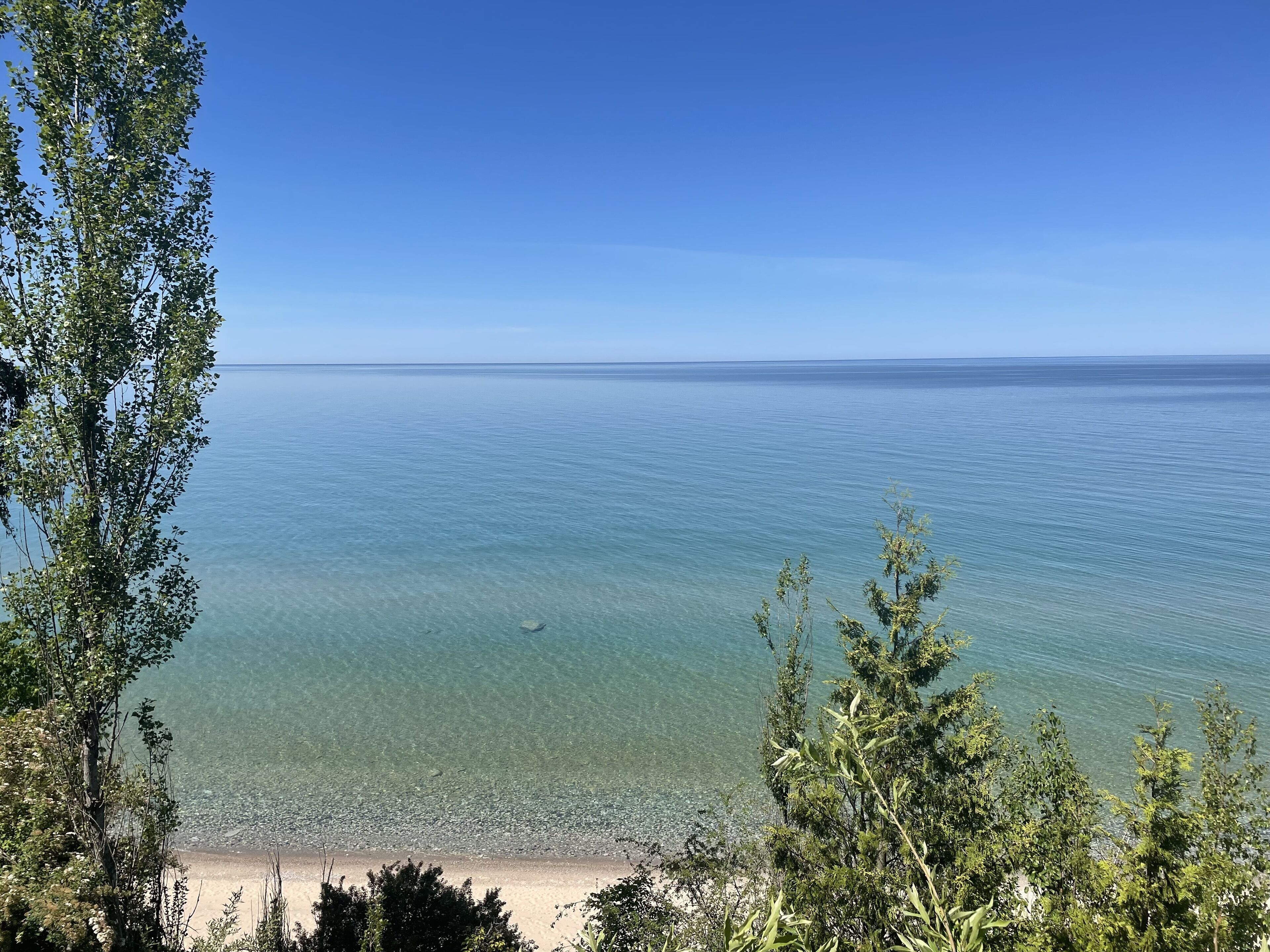 A beach with clear water and trees in the foreground.