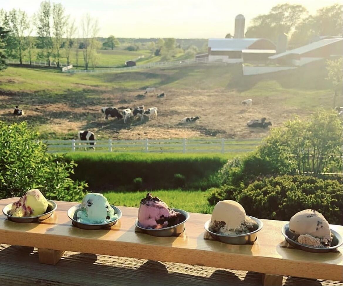 Ein Holztisch mit vier Eisschalen in verschiedenen Sorten, mit Blick auf eine Bauernlandschaft mit Kühen und einem Stall im Hintergrund.