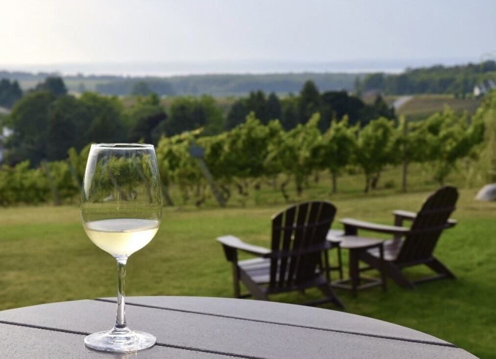A glass of white wine on a table with a view of a vineyard and outdoor seating area.
