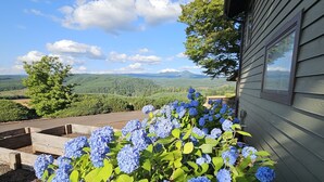 Ein Garten mit blauen Hortensien vor einem Haus mit Blick auf eine bewaldete Landschaft.