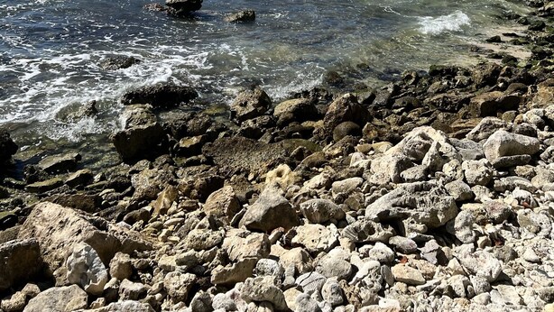 Nær stranden, solsenger og strandhåndklær