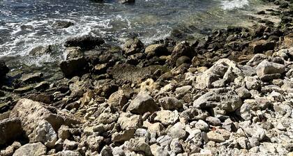 Secluded paradise! Brand new large studio condo with direct beach access.