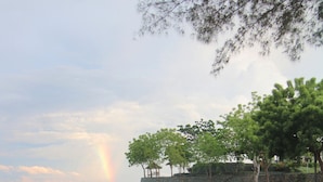 Une plage avec un mur de pierres et des arbres, un arc-en-ciel en arrière-plan et une structure en bois sur le mur.