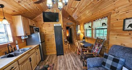 Tiny Hideaway Cabin mins. from Downtown Bryson City and Deep Creek National Park