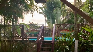 A pool area surrounded by lush greenery and a wooden ladder leading to a platform. - Vampayá Panamá (Bocas del Toro)