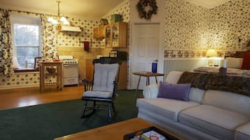 Smart TV, chimenea, reproductor de DVD y libros