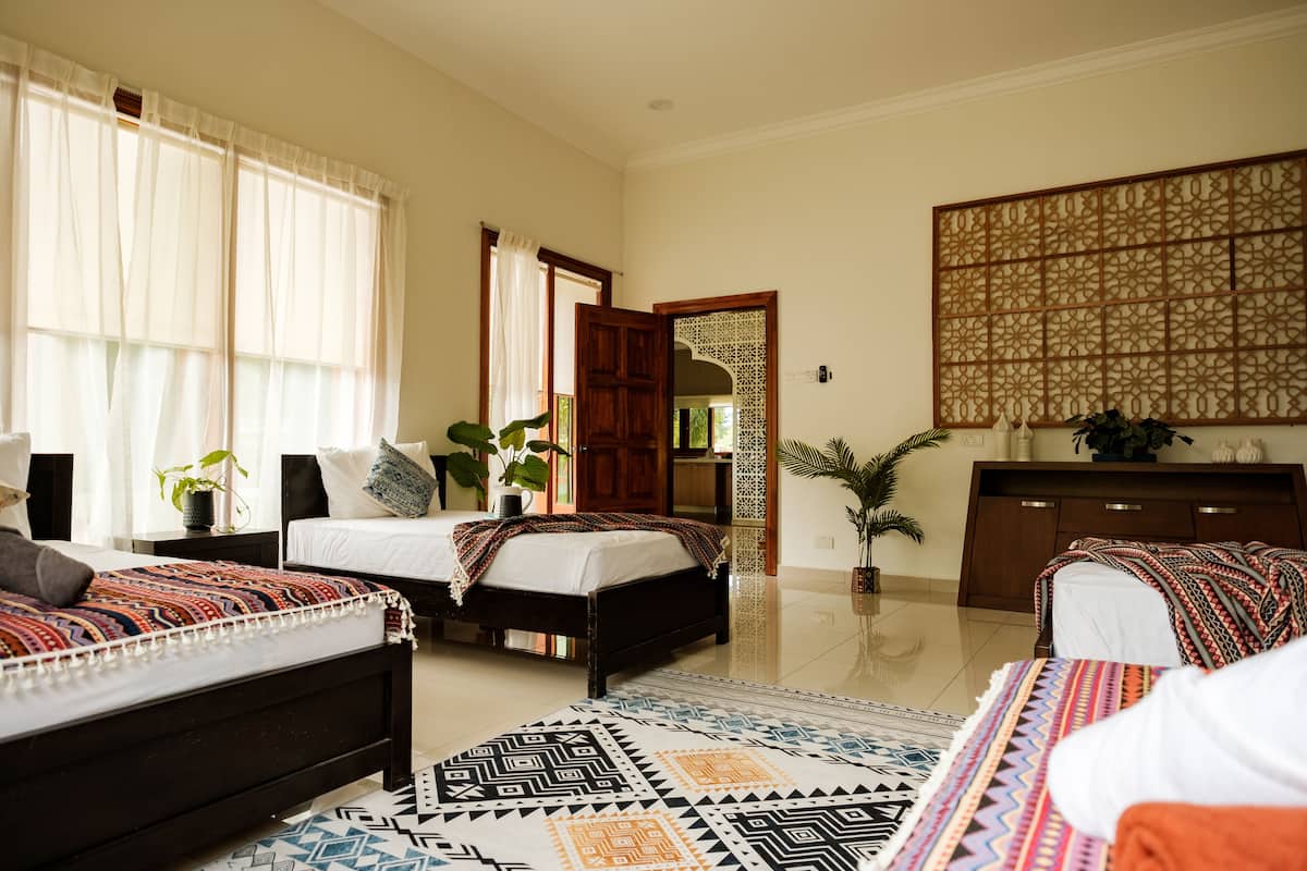 A spacious bedroom with two beds, a large window with sheer curtains, a decorative wall panel, and a potted plant.