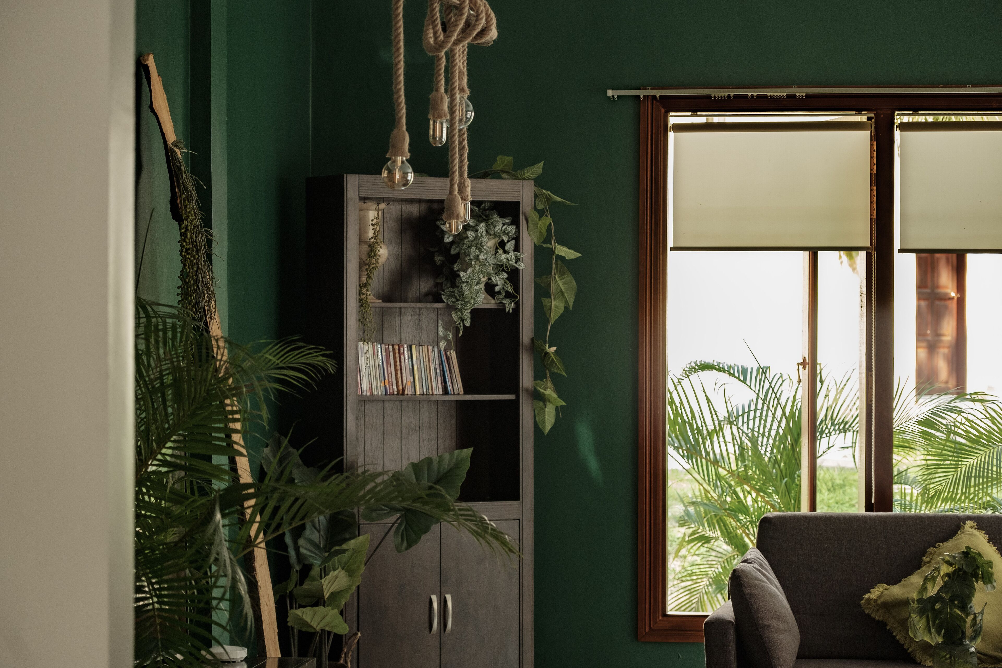 Una habitación con pared verde oscuro, una estantería de madera con plantas, una ventana con persianas y un sofá con un cojín.