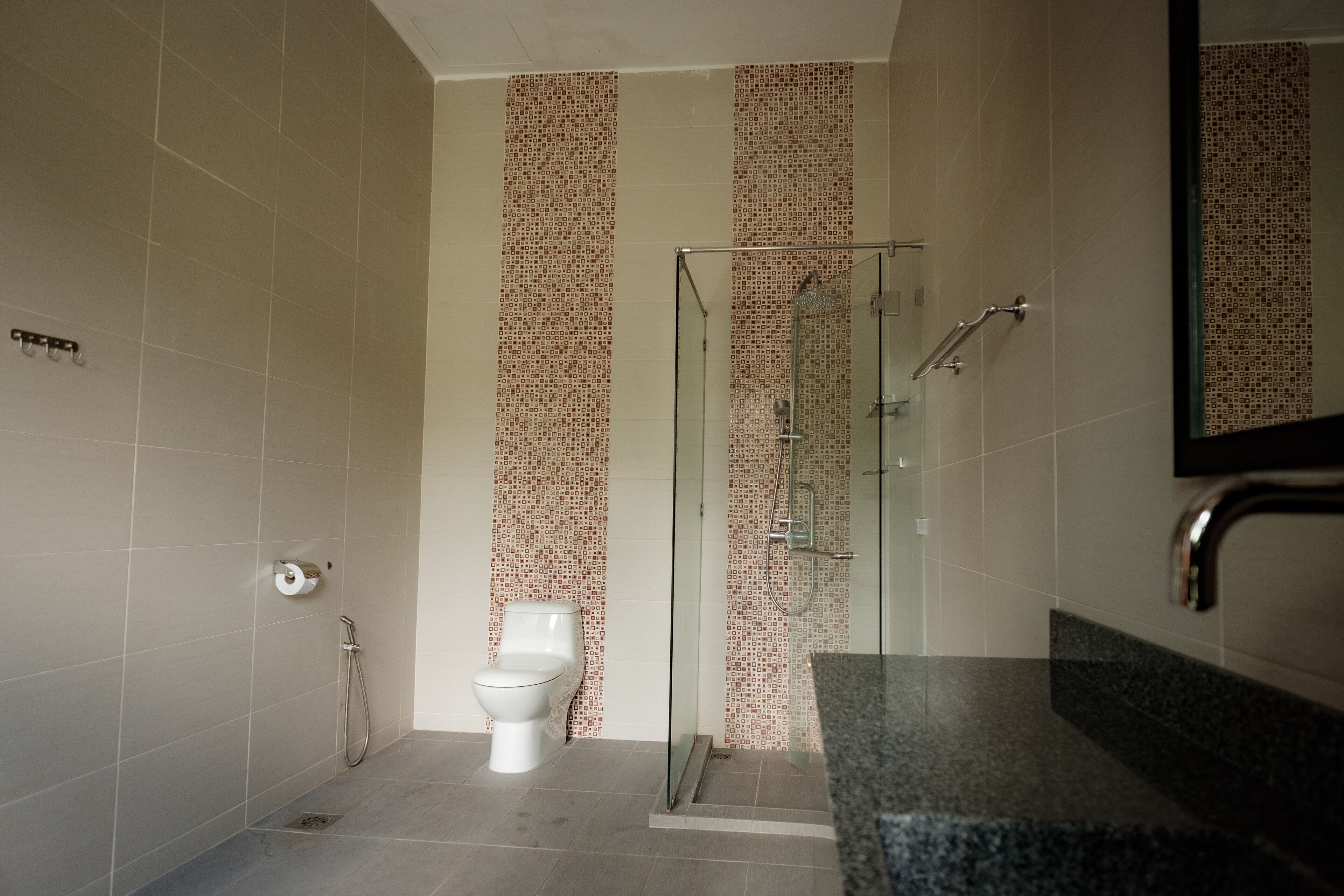 Shower, hair dryer, bidet, towels