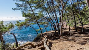 A coastal landscape with pine trees and a clear view of the sea. - Renovated studio close to the beach of Sainte Asile in Pin Rolland (ST MANDRIER SUR MER)