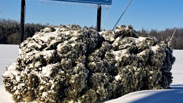 A welcome sign for 'Alimestone' with a date 'FONDE EN 1869' and a message 'PARTAGEZ NOTRE QUALITE DE VIE'.