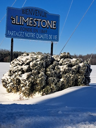 Lovely 4 Br, Hillside Hideaway, Sled Access/ATV