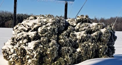 Lovely 4 Br, Hillside Hideaway, Sled Access/ATV