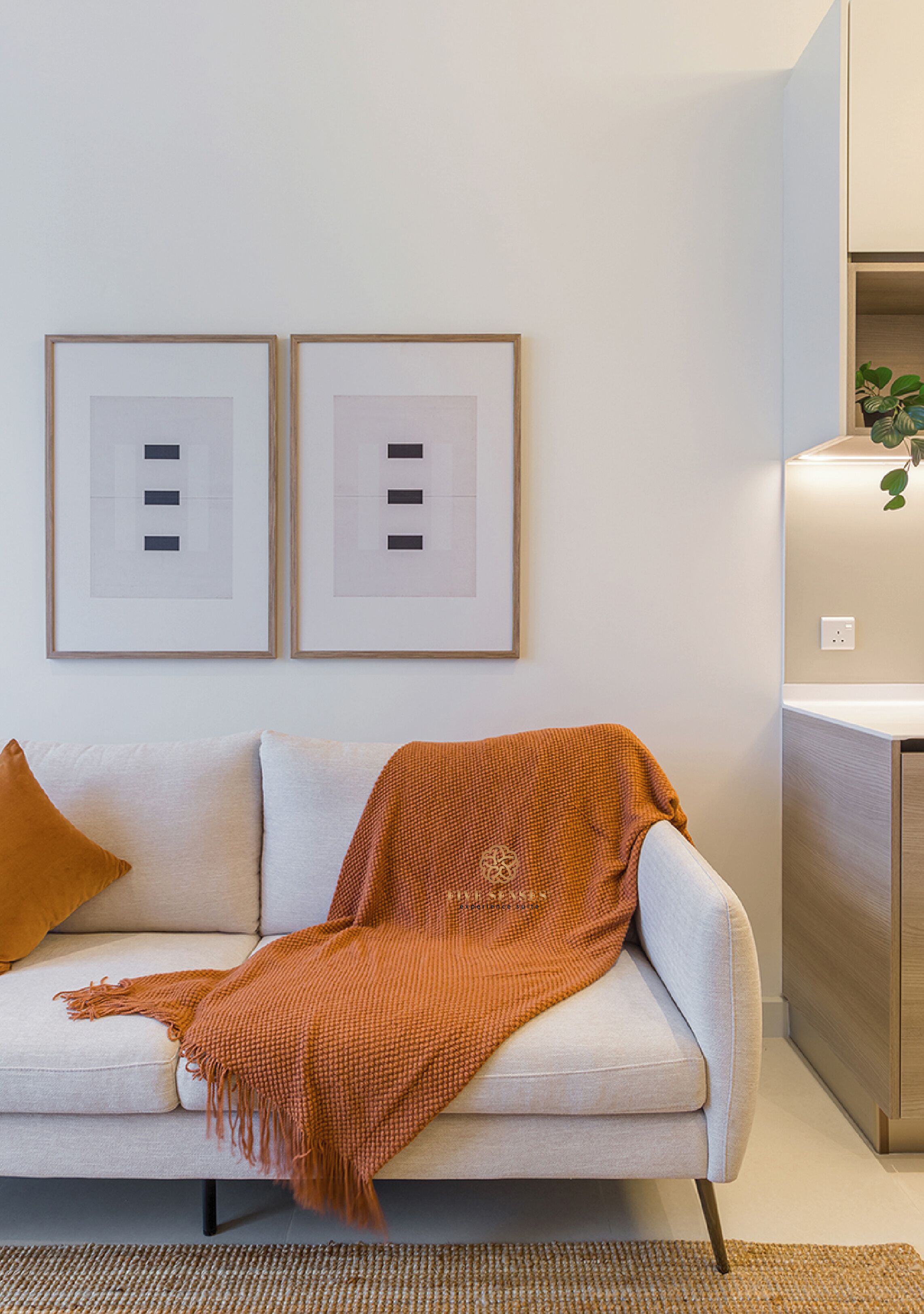 A modern living room with a light grey sofa, a patterned throw blanket, and two framed abstract artworks on the wall.