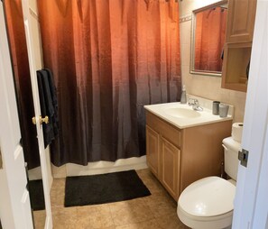 Hair dryer, towels, soap, shampoo