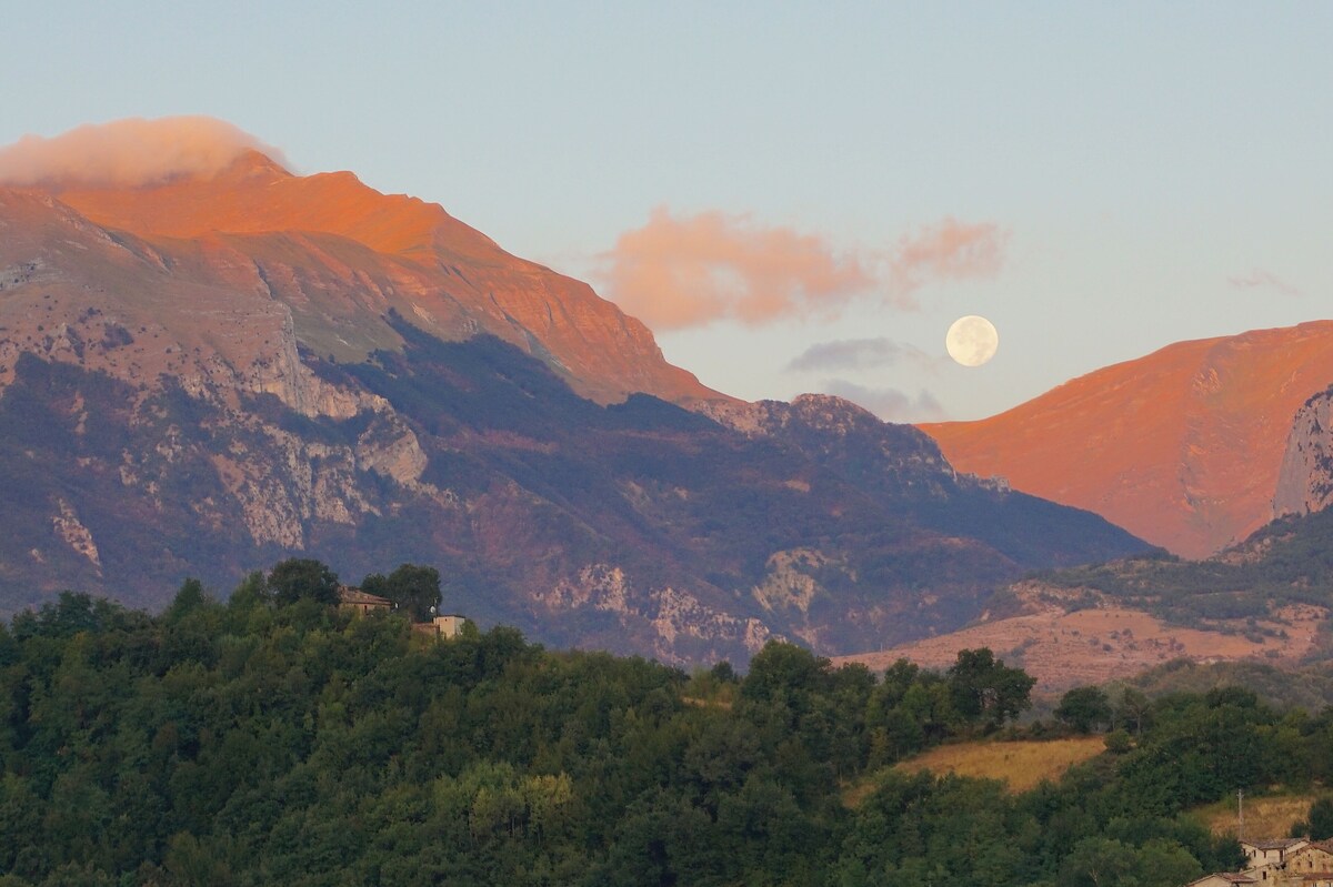 Imagen de perfil del propietario o de la propietaria