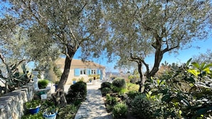 A stone pathway leading to a traditional building surrounded by lush greenery and olive trees. - Myrtle Cottage - Charming 2 bed Cottage (Paxos)