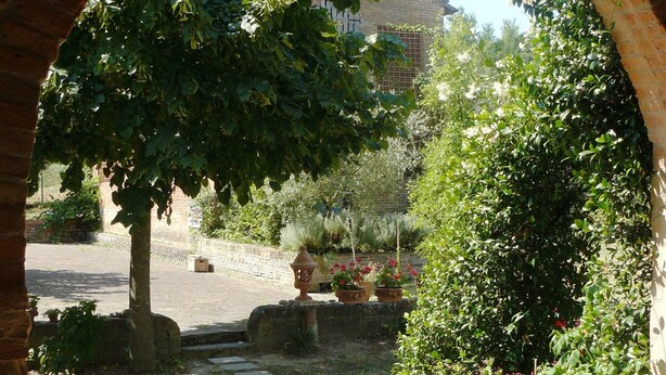 Un patio exterior con sendero de ladrillo, plantas en macetas y un árbol.